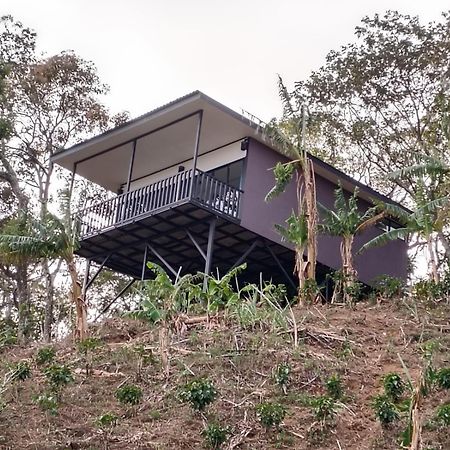 El Paraiso Escondido Daire San Juan  Dış mekan fotoğraf