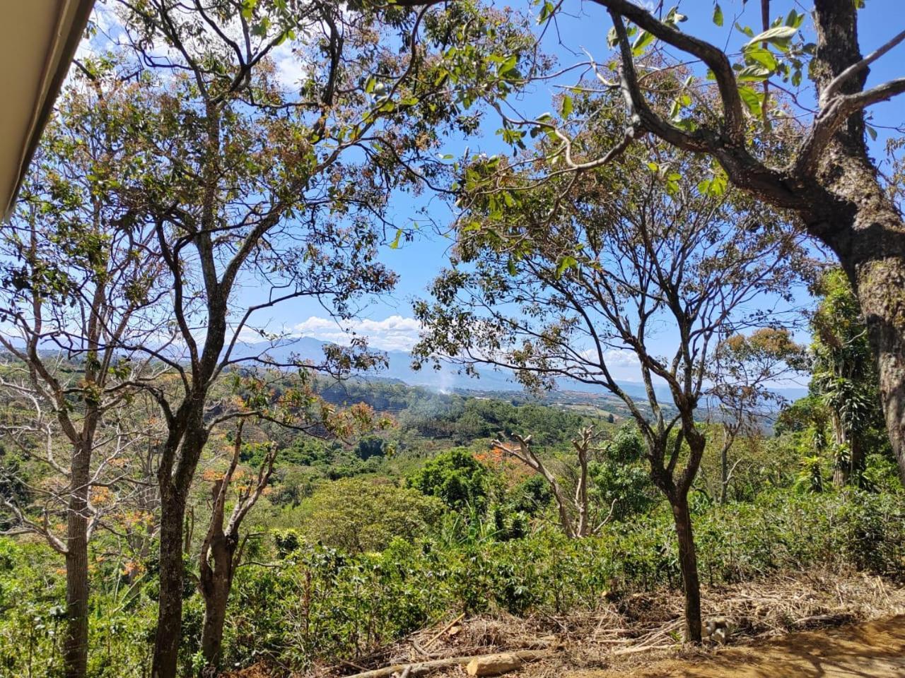 El Paraiso Escondido Daire San Juan  Dış mekan fotoğraf