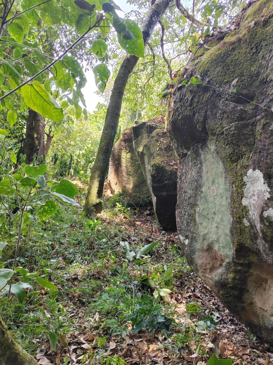 El Paraiso Escondido Daire San Juan  Dış mekan fotoğraf