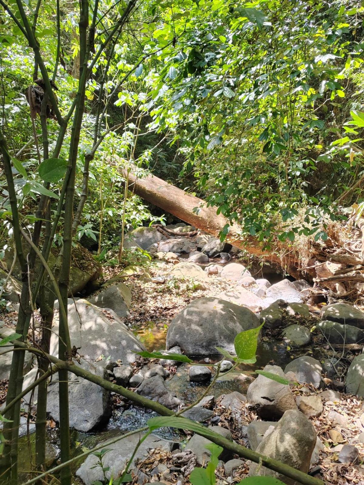 El Paraiso Escondido Daire San Juan  Dış mekan fotoğraf