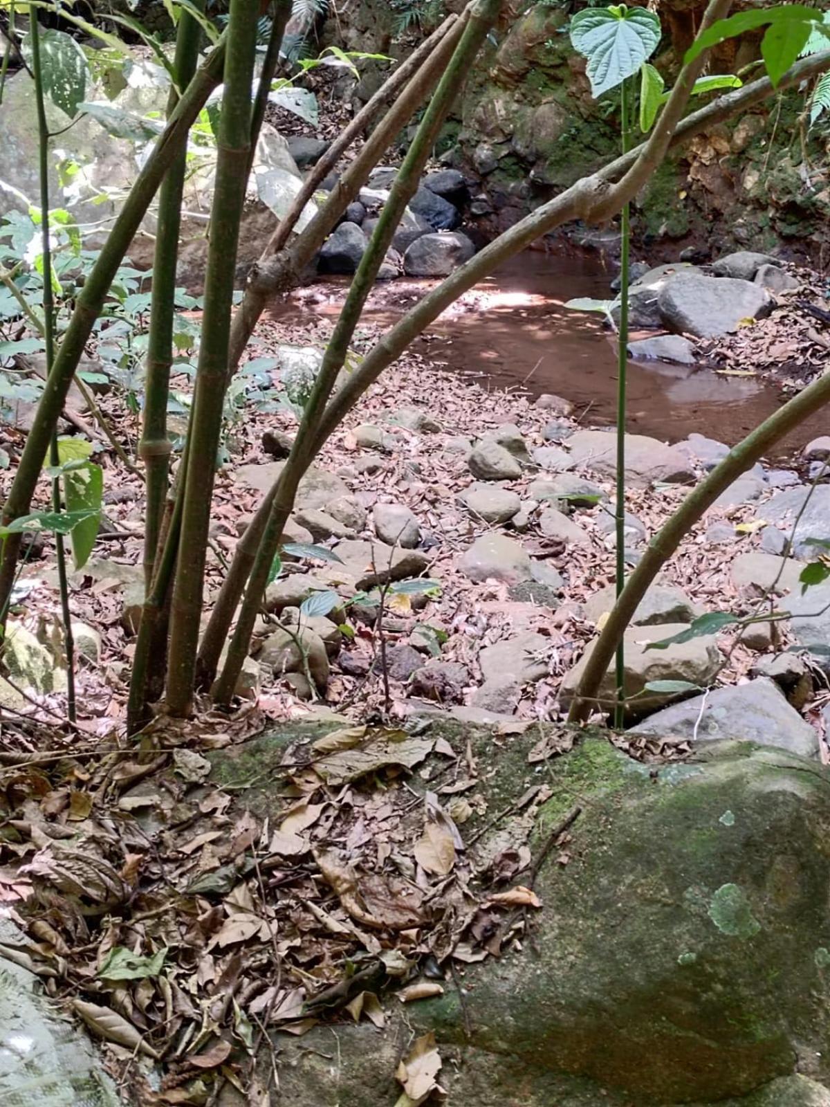 El Paraiso Escondido Daire San Juan  Dış mekan fotoğraf