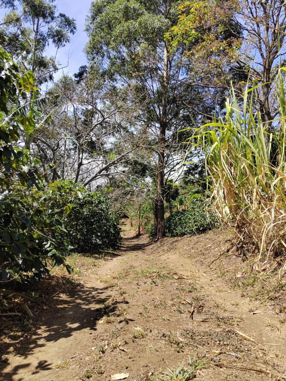 El Paraiso Escondido Daire San Juan  Dış mekan fotoğraf